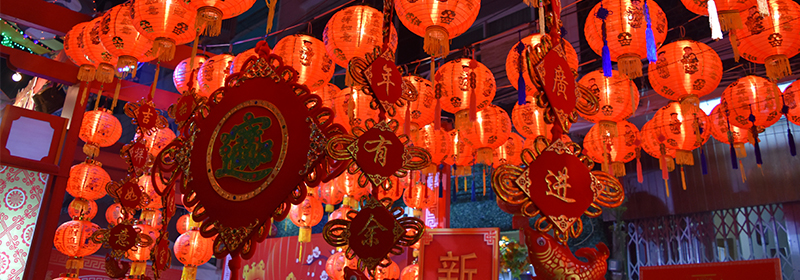 Chinese-New-Year-banner