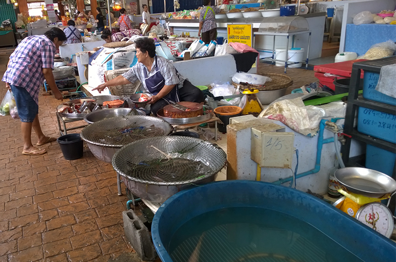authentic-market-Thailand-fish
