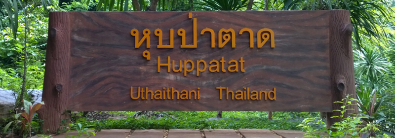 huppatat-banner
